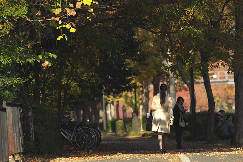 f:id:kazunori-okamura:20141123170118j:plain f:id:kazunori-okamura:20141123170118j:plain