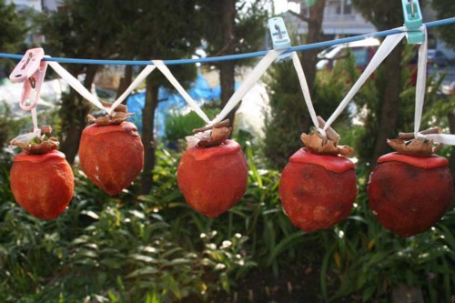 f:id:kazurateiutubo:20140105173642j:plain