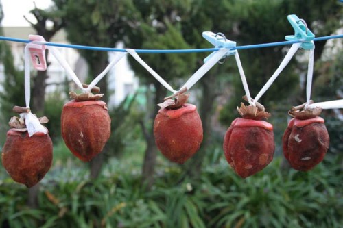 f:id:kazurateiutubo:20140105173643j:plain