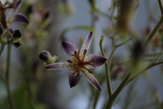 f:id:kazurateiutubo:20141014234142j:plain