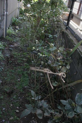 f:id:kazurateiutubo:20141014234213j:plain