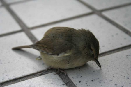 f:id:kazurateiutubo:20141120235255j:plain f:id:kazurateiutubo:20141120235255j:plain