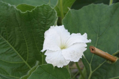 f:id:kazurateiutubo:20160604232043j:plain