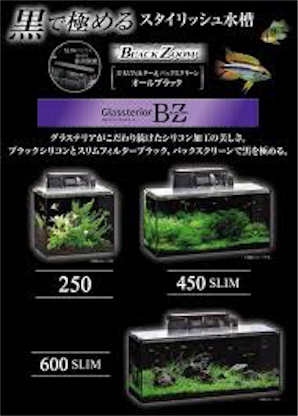 f:id:kazushi-s542:20151116213409j:image f:id:kazushi-s542:20151116213409j:image