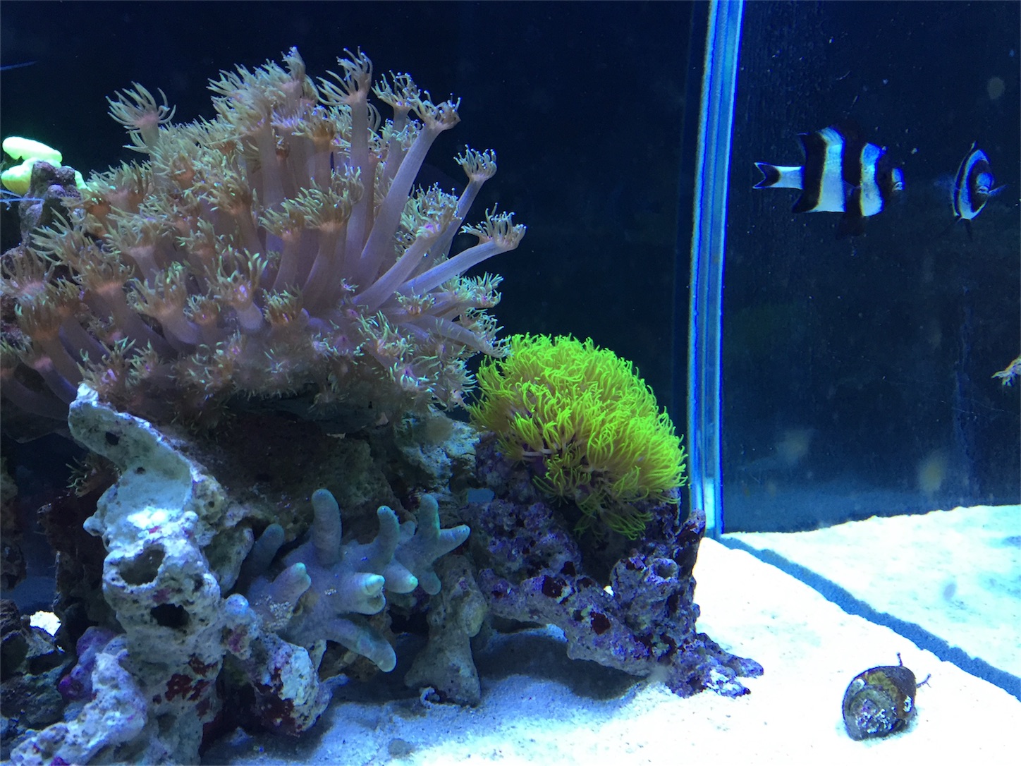 f:id:kazushi-s542:20151201223128j:image f:id:kazushi-s542:20151201223128j:image