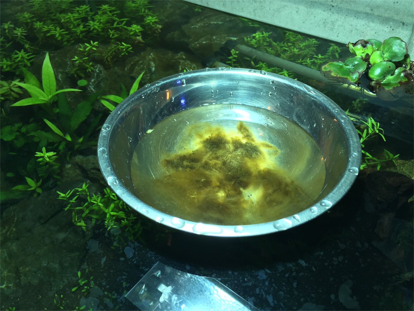 f:id:kazushi-s542:20151210210846j:image f:id:kazushi-s542:20151210210846j:image