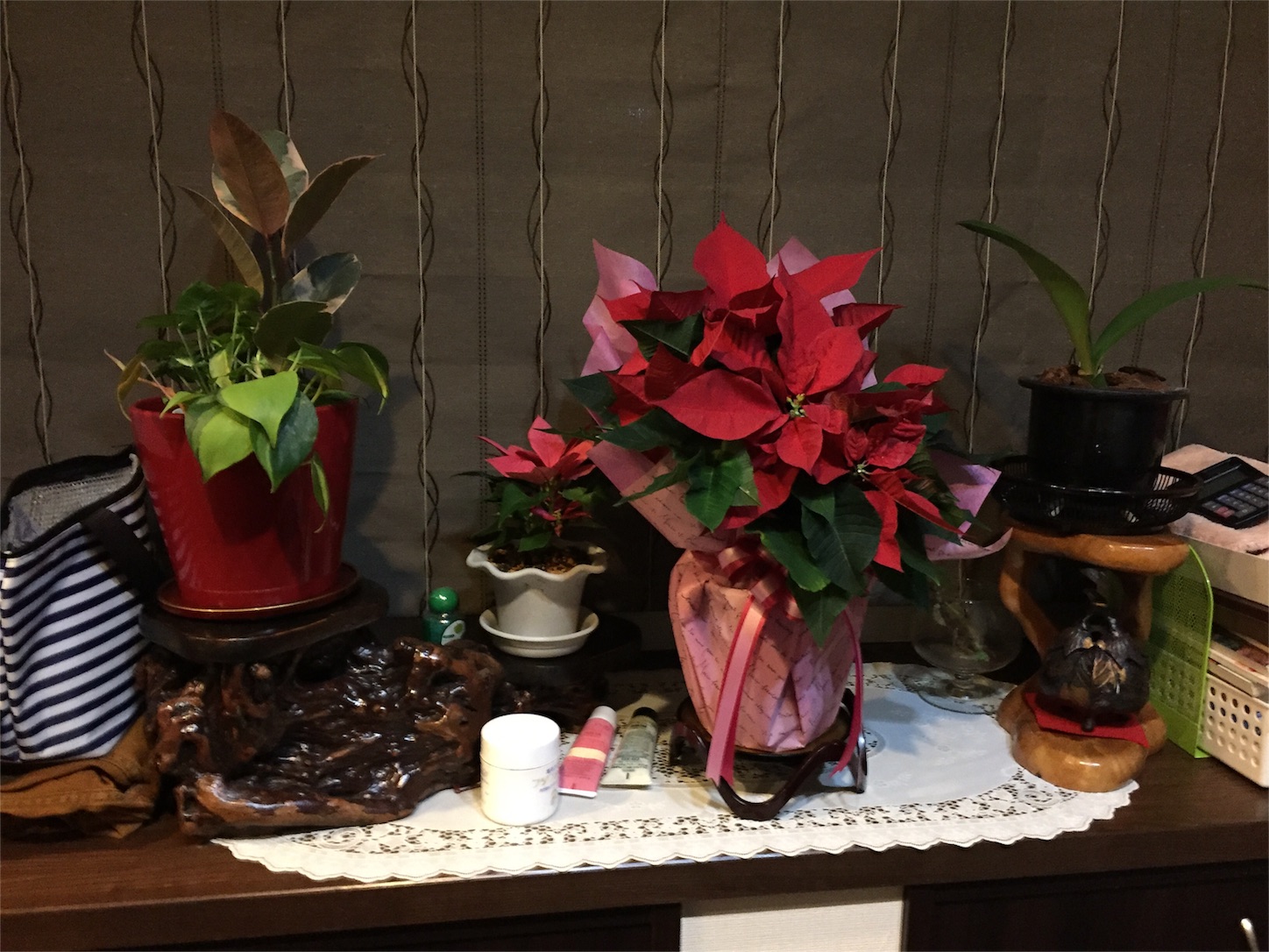 f:id:kazushi-s542:20151215221505j:image f:id:kazushi-s542:20151215221505j:image