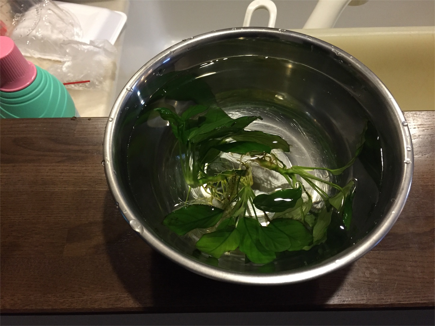 f:id:kazushi-s542:20151220211529j:image f:id:kazushi-s542:20151220211529j:image