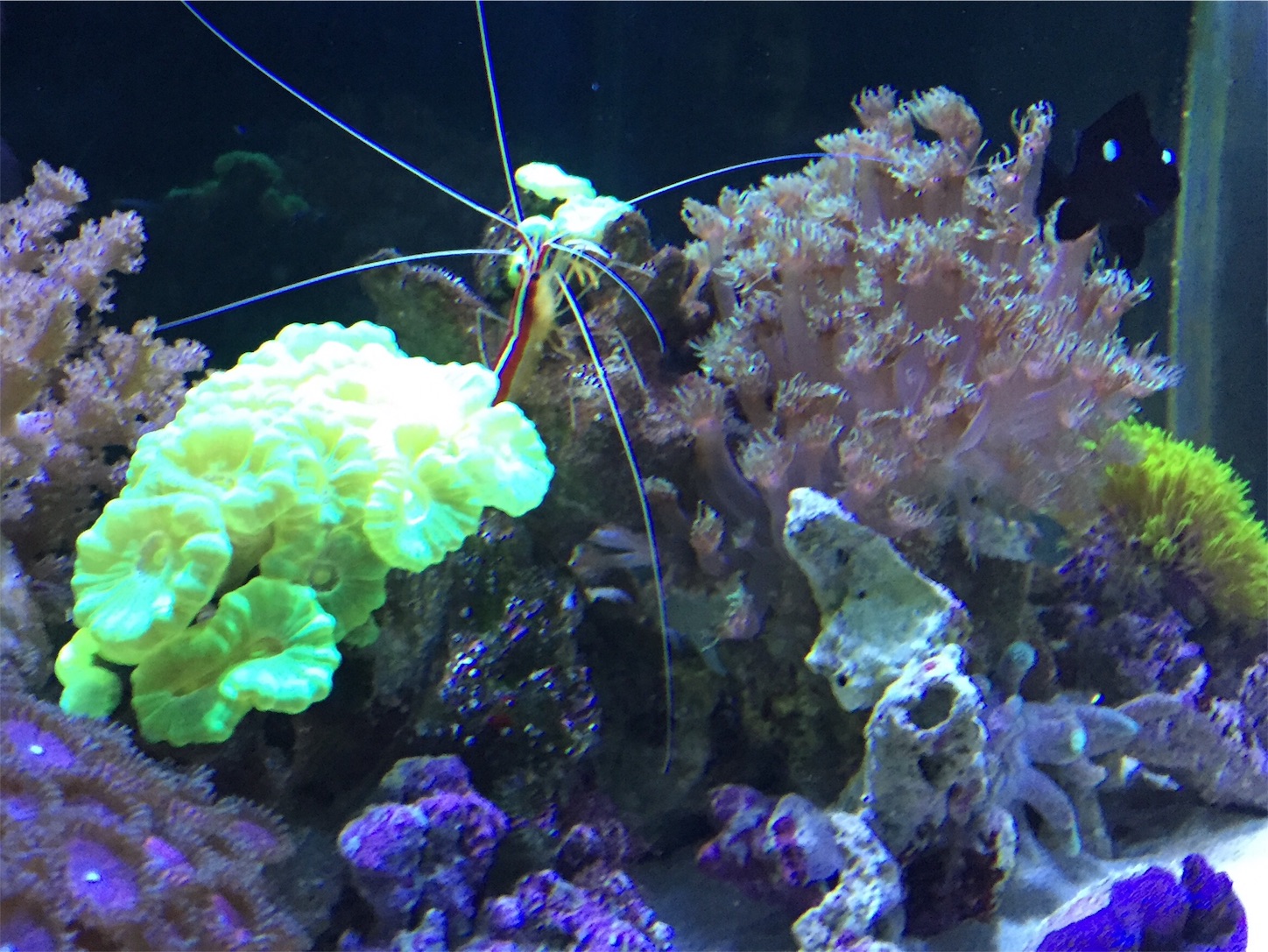 f:id:kazushi-s542:20151224210323j:image f:id:kazushi-s542:20151224210323j:image