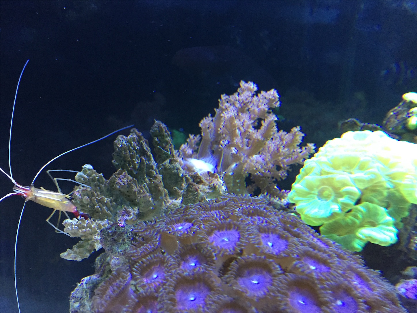 f:id:kazushi-s542:20151224210418j:image f:id:kazushi-s542:20151224210418j:image
