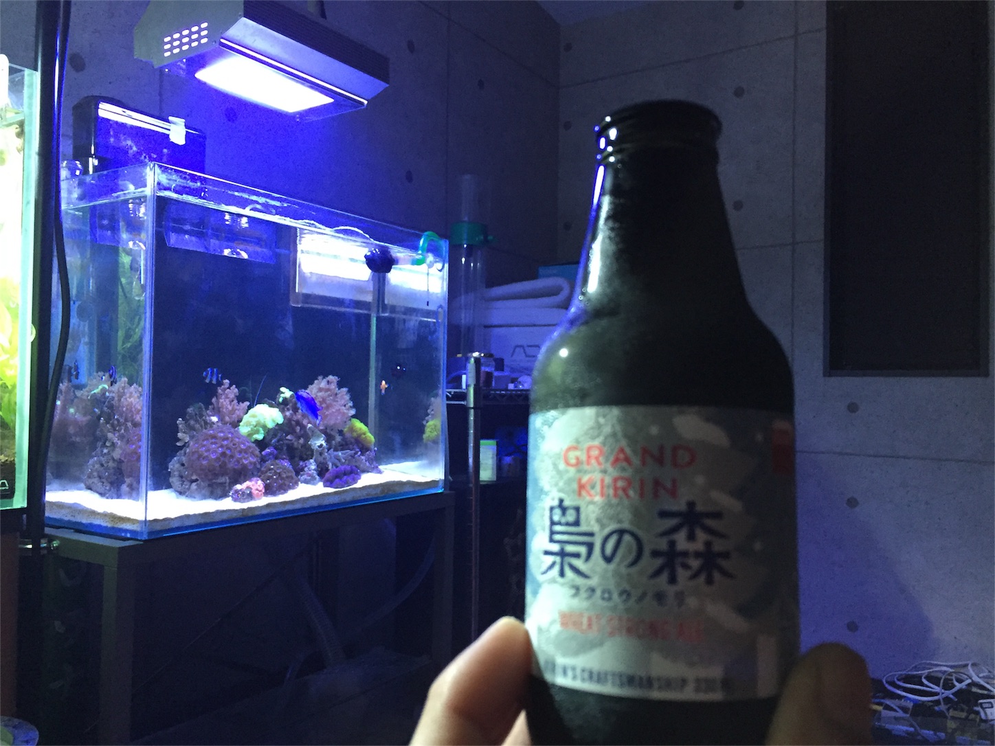 f:id:kazushi-s542:20151224212025j:image f:id:kazushi-s542:20151224212025j:image