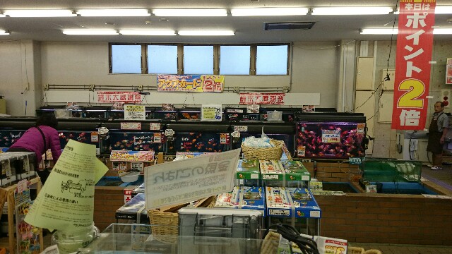 f:id:kazushi-s542:20151230021646j:image f:id:kazushi-s542:20151230021646j:image