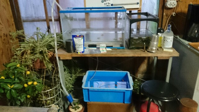 f:id:kazushi-s542:20160102221758j:image f:id:kazushi-s542:20160102221758j:image