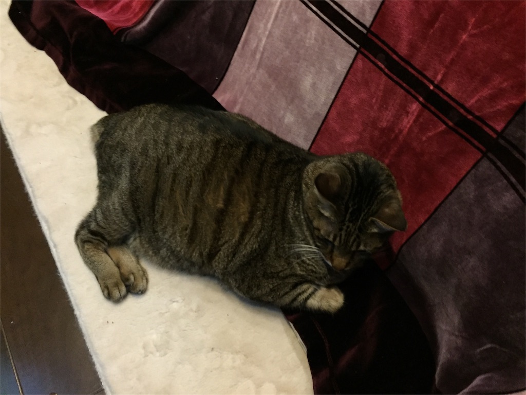 f:id:kazushi-s542:20160117222758j:image f:id:kazushi-s542:20160117222758j:image