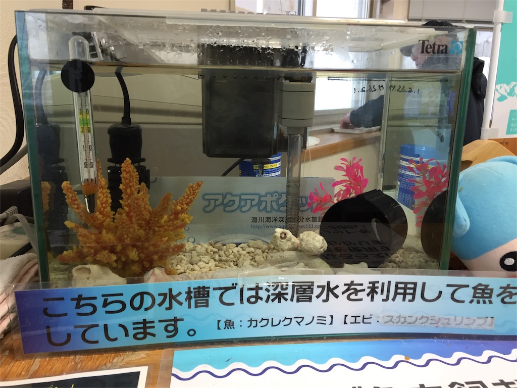 f:id:kazushi-s542:20160125212601j:image f:id:kazushi-s542:20160125212601j:image