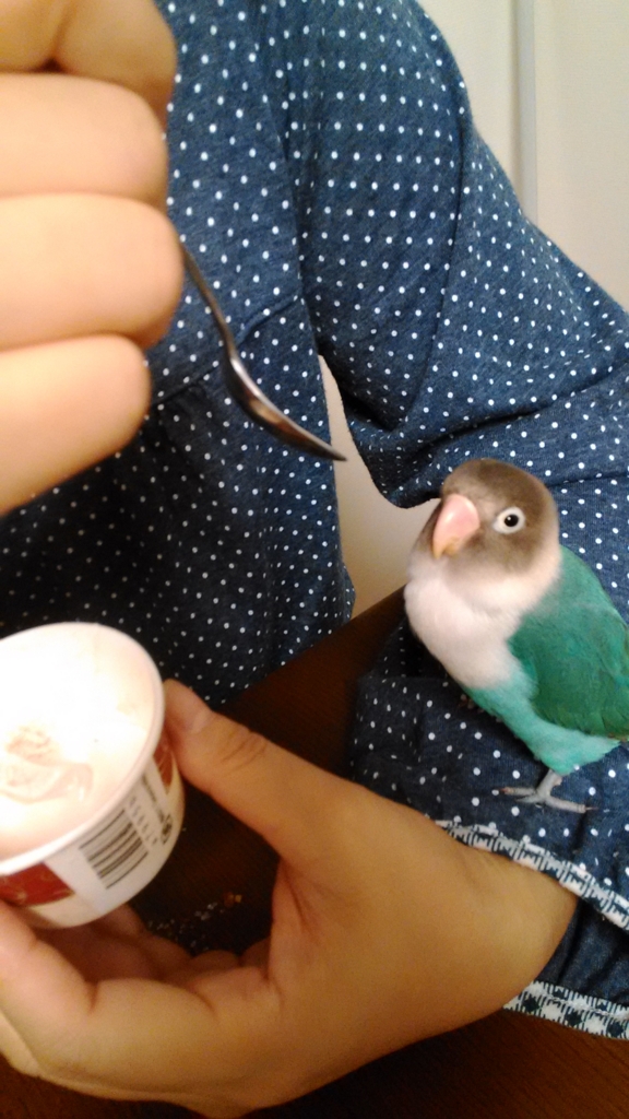 f:id:kazzzii:20151012083652j:plain f:id:kazzzii:20151012083652j:plain