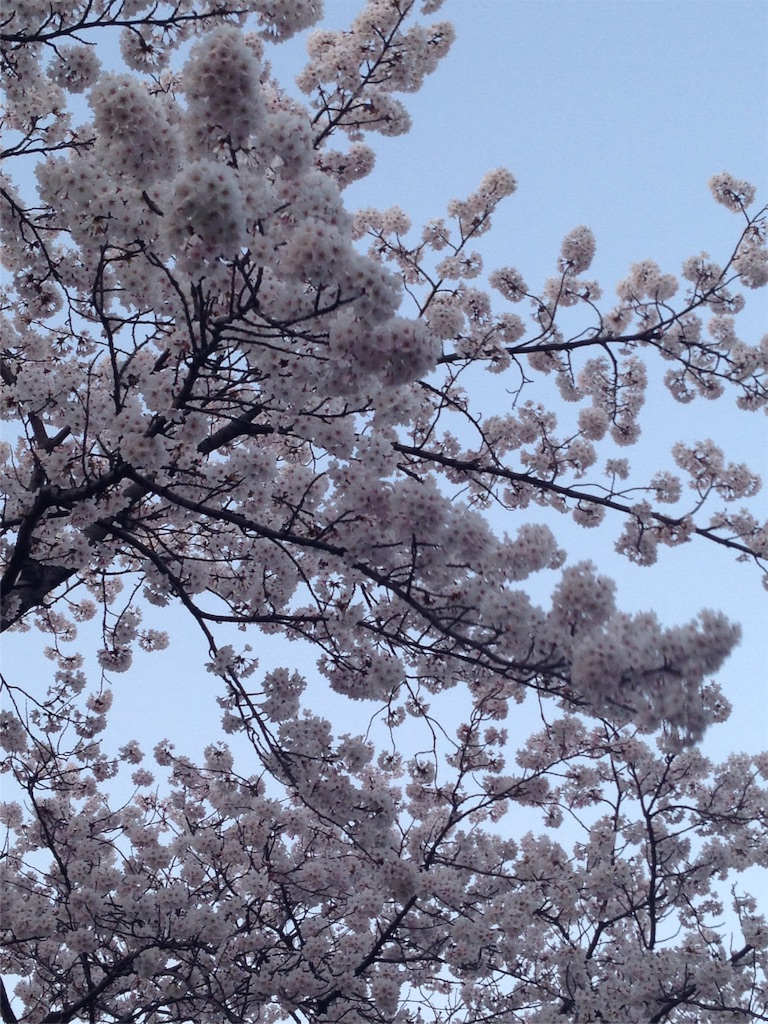 f:id:kchigusa19870316:20160408194258j:image f:id:kchigusa19870316:20160408194258j:image