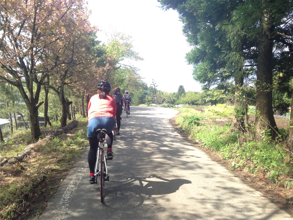 f:id:kchigusa19870316:20160425193740j:image f:id:kchigusa19870316:20160425193740j:image