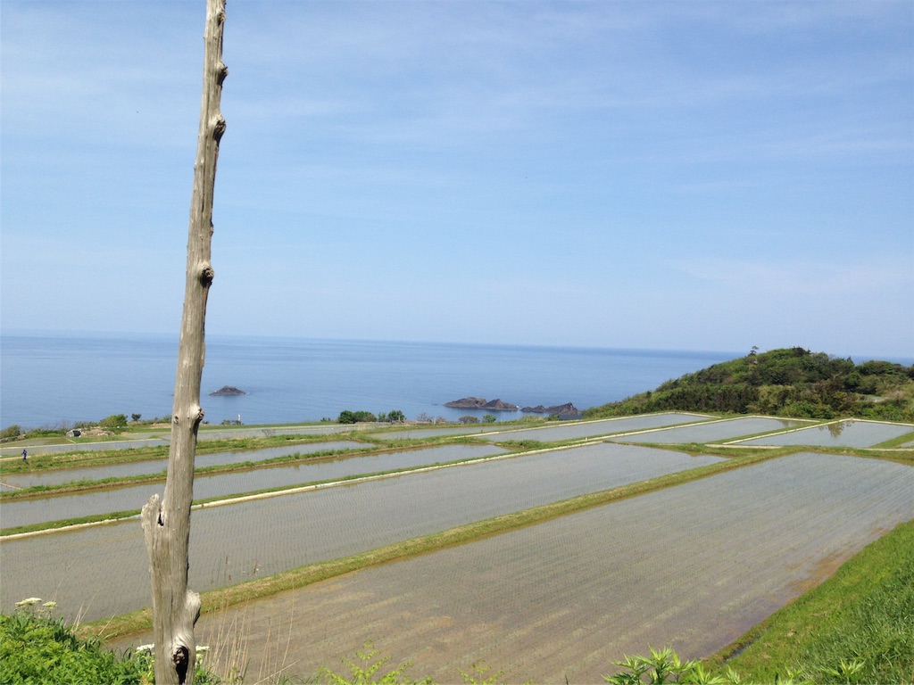 f:id:kchigusa19870316:20160523150731j:image f:id:kchigusa19870316:20160523150731j:image
