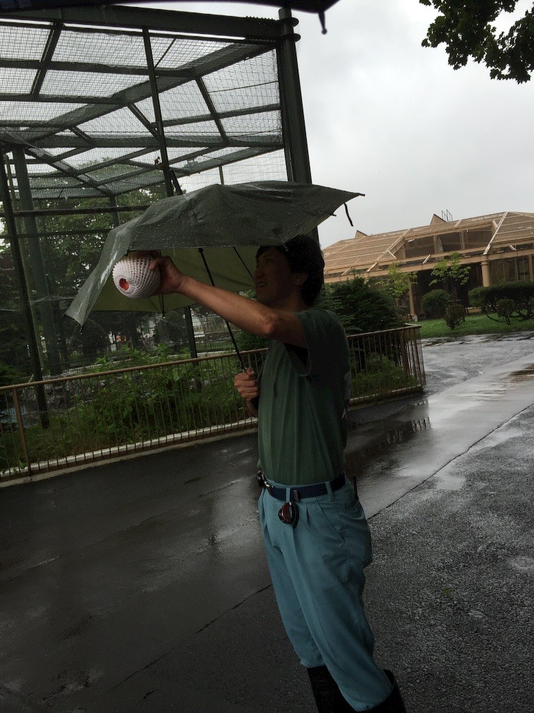 f:id:kedama-tikku:20150819063041j:image f:id:kedama-tikku:20150819063041j:image