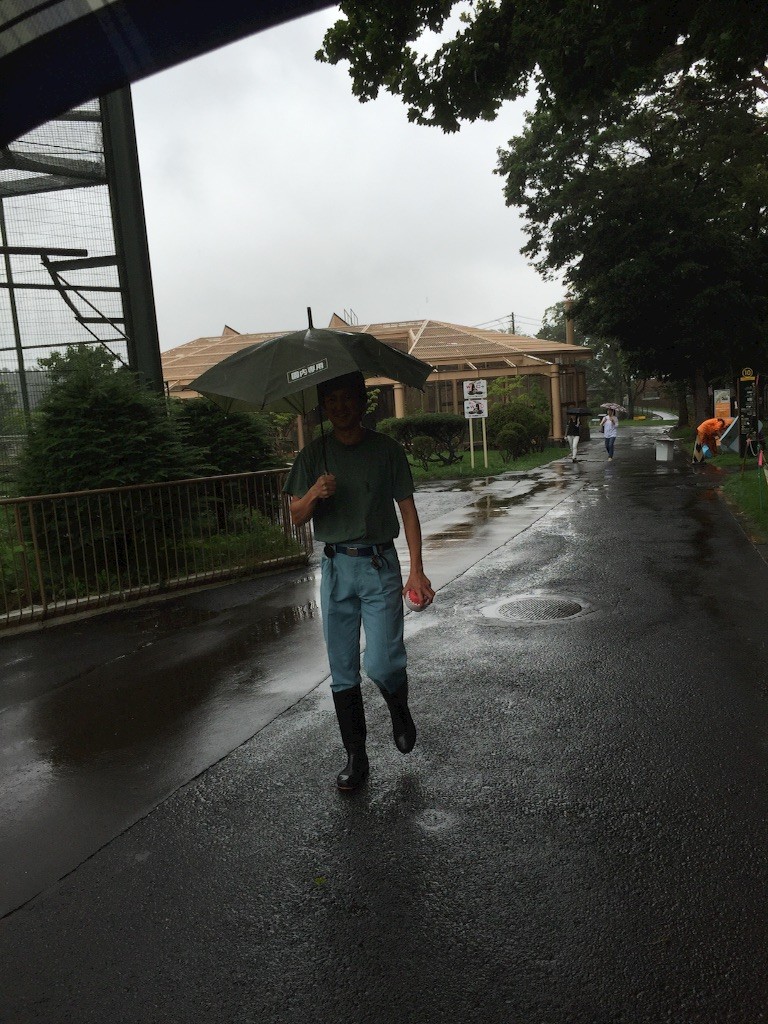 f:id:kedama-tikku:20150823214924j:image f:id:kedama-tikku:20150823214924j:image