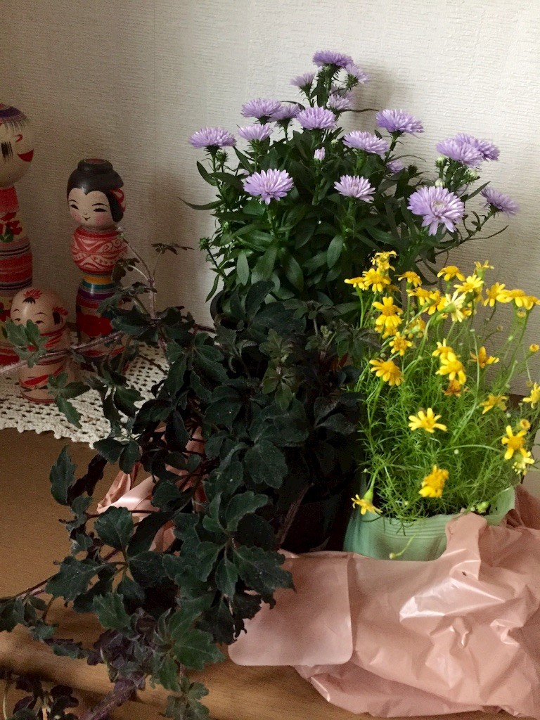 f:id:kedama-tikku:20150826150057j:image f:id:kedama-tikku:20150826150057j:image