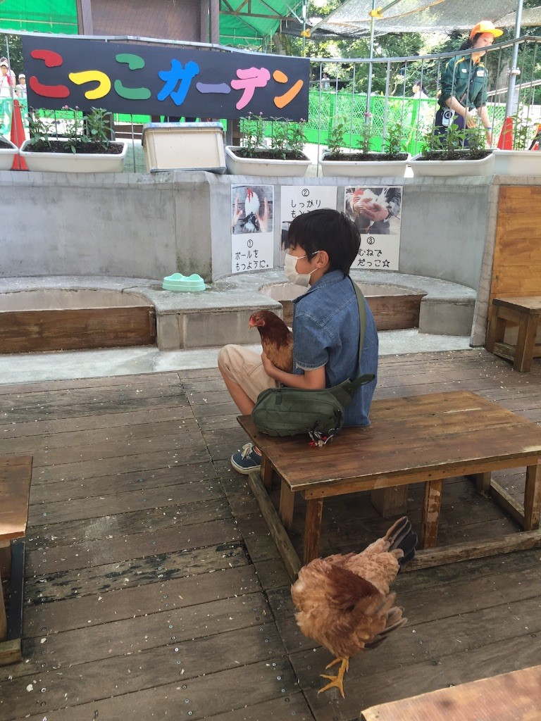 f:id:kedama-tikku:20150923222821j:image f:id:kedama-tikku:20150923222821j:image