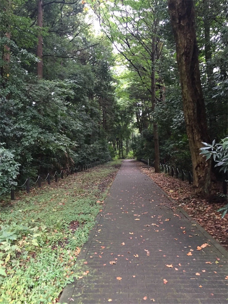 f:id:kedama-tikku:20151011233437j:image f:id:kedama-tikku:20151011233437j:image