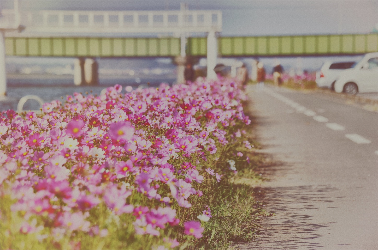 f:id:keicomoment:20151104231631j:image f:id:keicomoment:20151104231631j:image