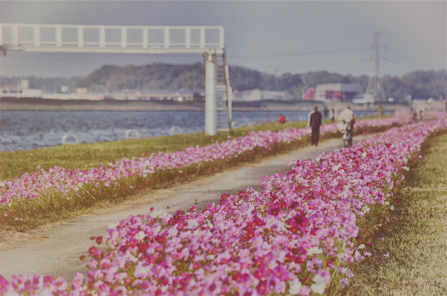 f:id:keicomoment:20151104232129j:image f:id:keicomoment:20151104232129j:image