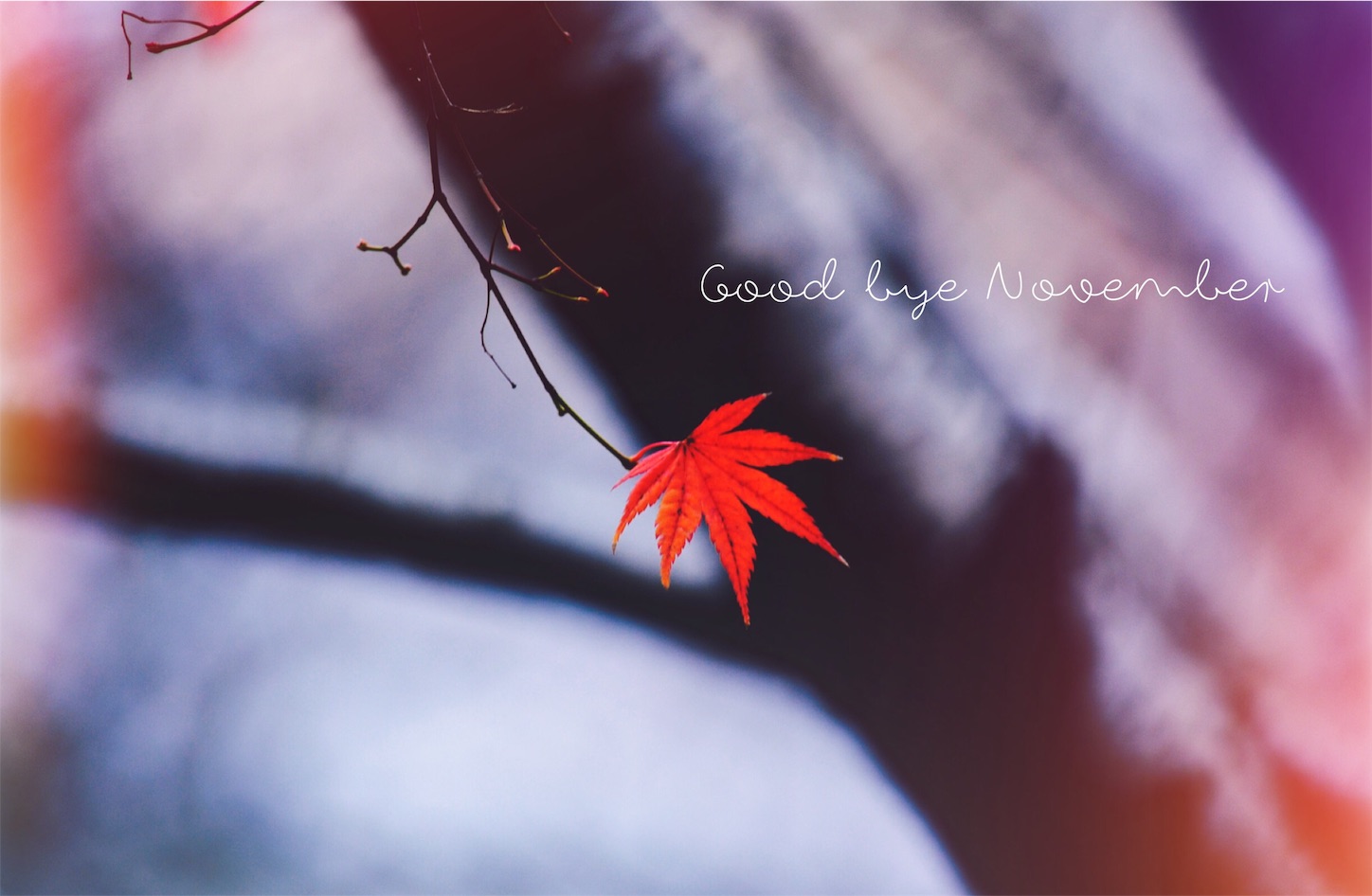 f:id:keicomoment:20151130013558j:image f:id:keicomoment:20151130013558j:image