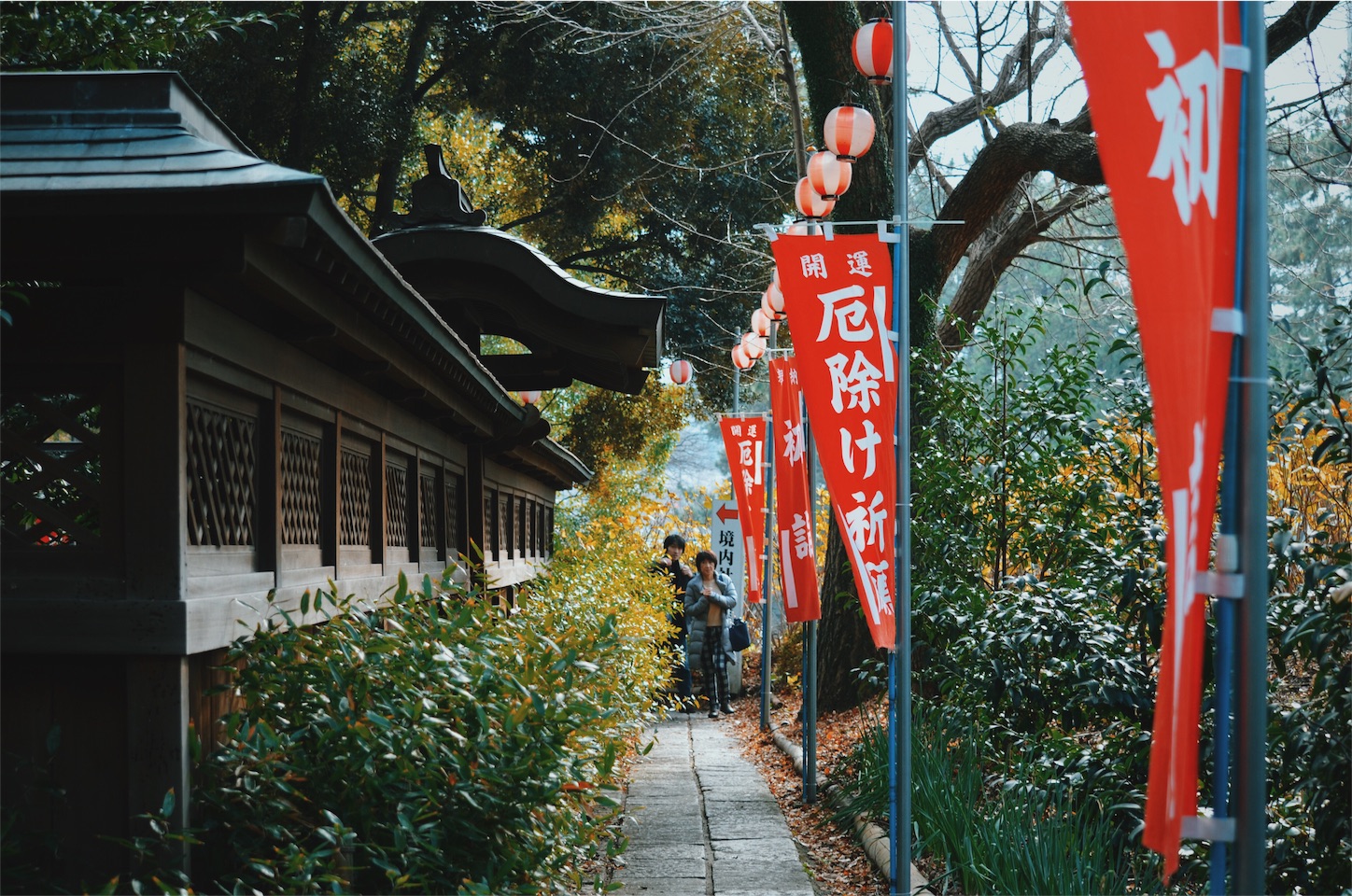 f:id:keicomoment:20160103220410j:image f:id:keicomoment:20160103220410j:image