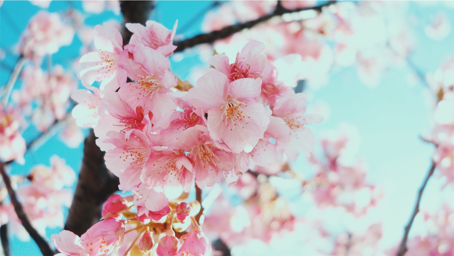 f:id:keicomoment:20160221195153j:image f:id:keicomoment:20160221195153j:image