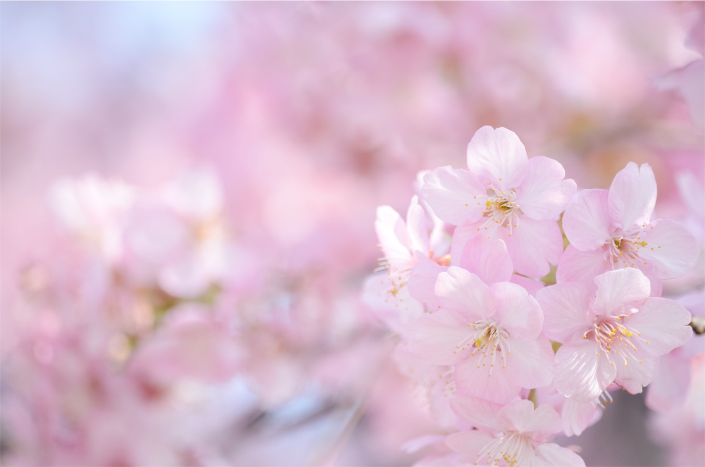 f:id:keicomoment:20160305203832j:image f:id:keicomoment:20160305203832j:image