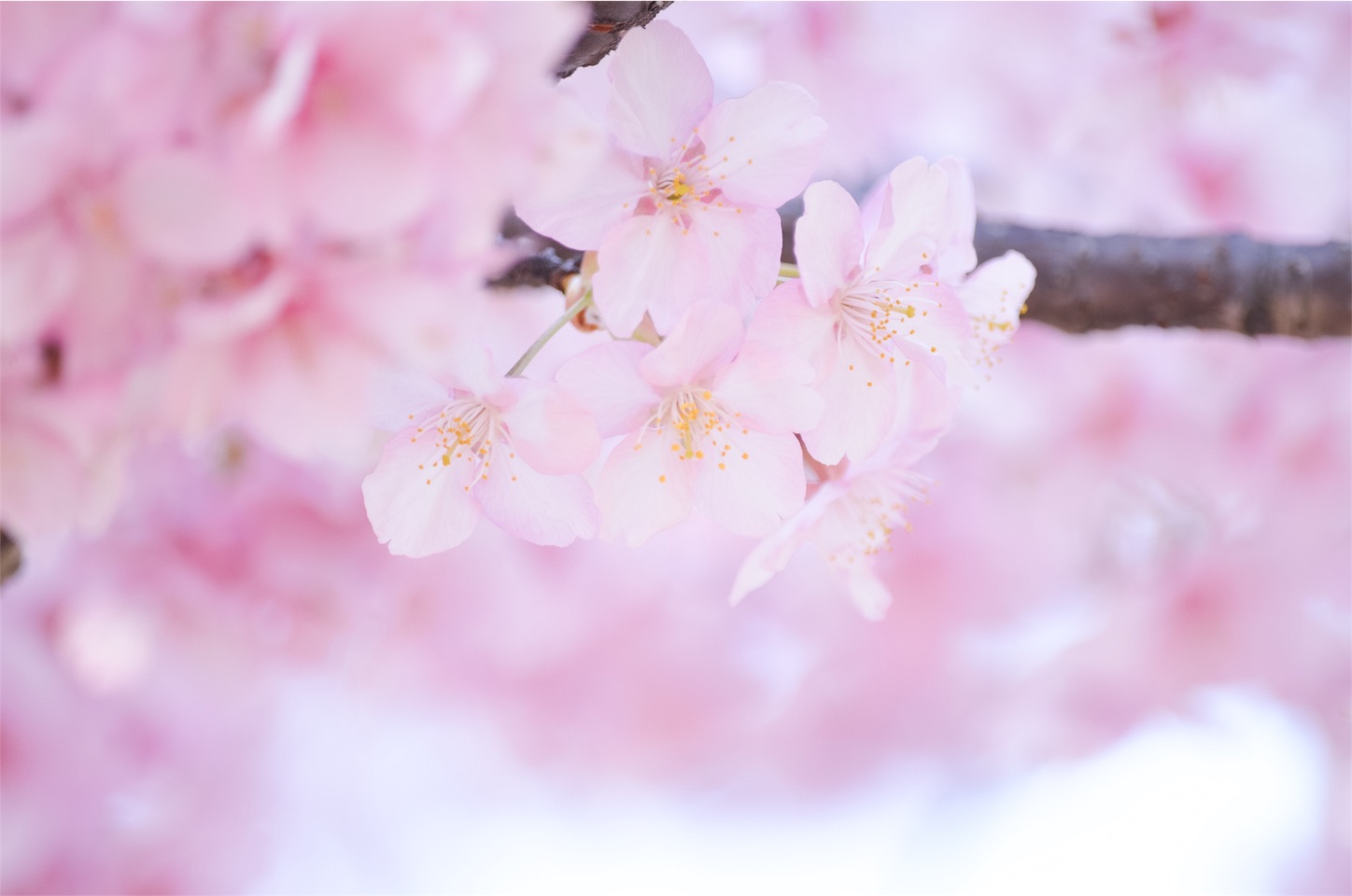 f:id:keicomoment:20160305203839j:image f:id:keicomoment:20160305203839j:image