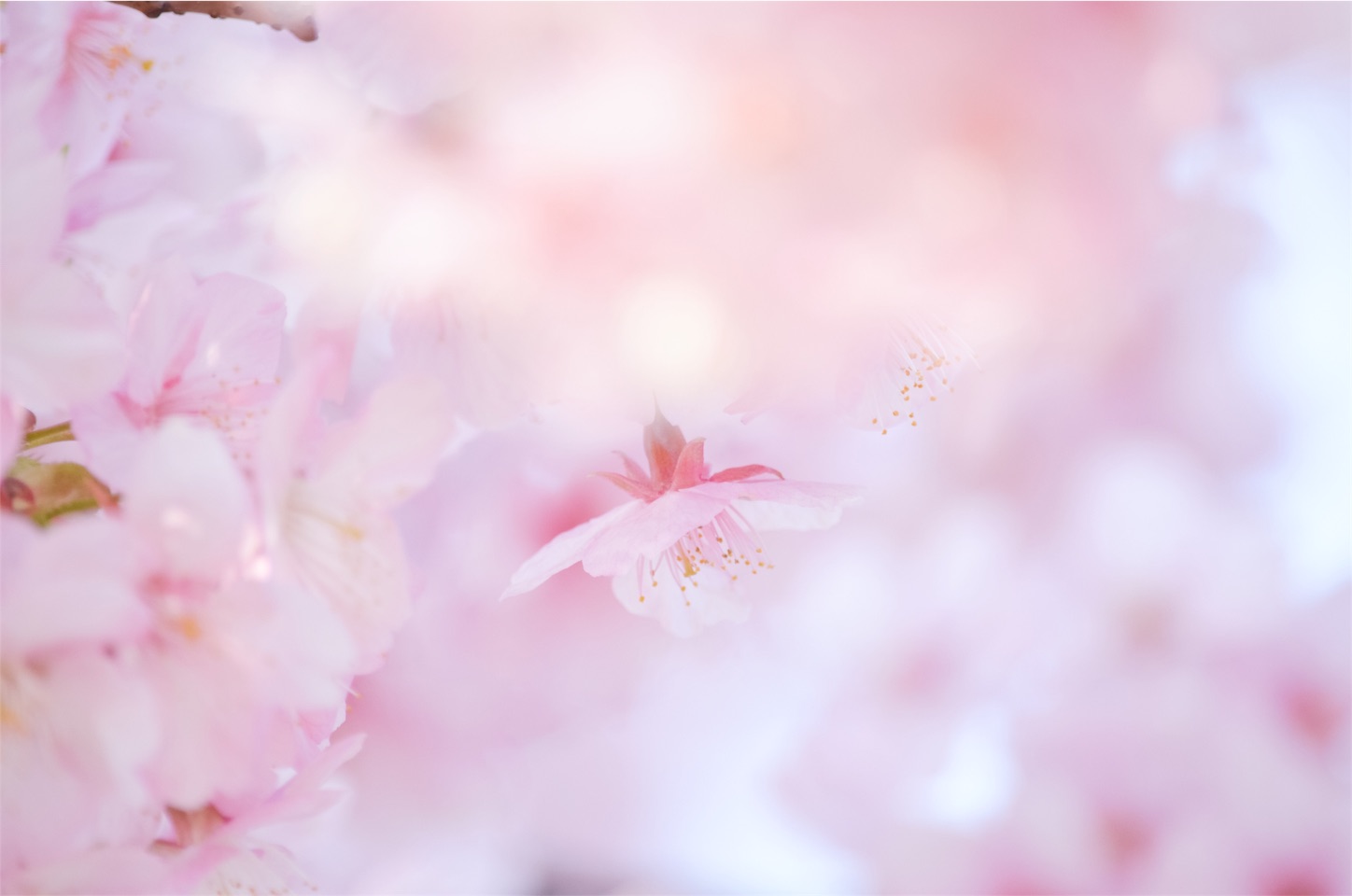 f:id:keicomoment:20160307235240j:image f:id:keicomoment:20160307235240j:image