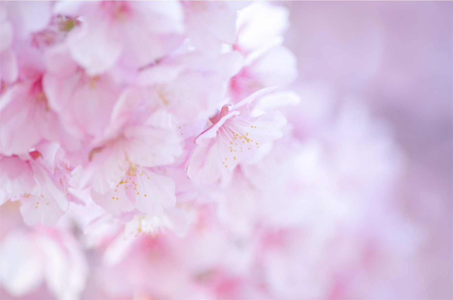 f:id:keicomoment:20160317221915j:image f:id:keicomoment:20160317221915j:image