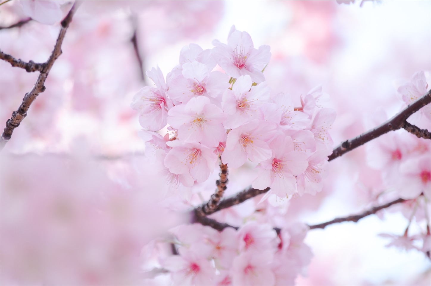 f:id:keicomoment:20160317222105j:image f:id:keicomoment:20160317222105j:image