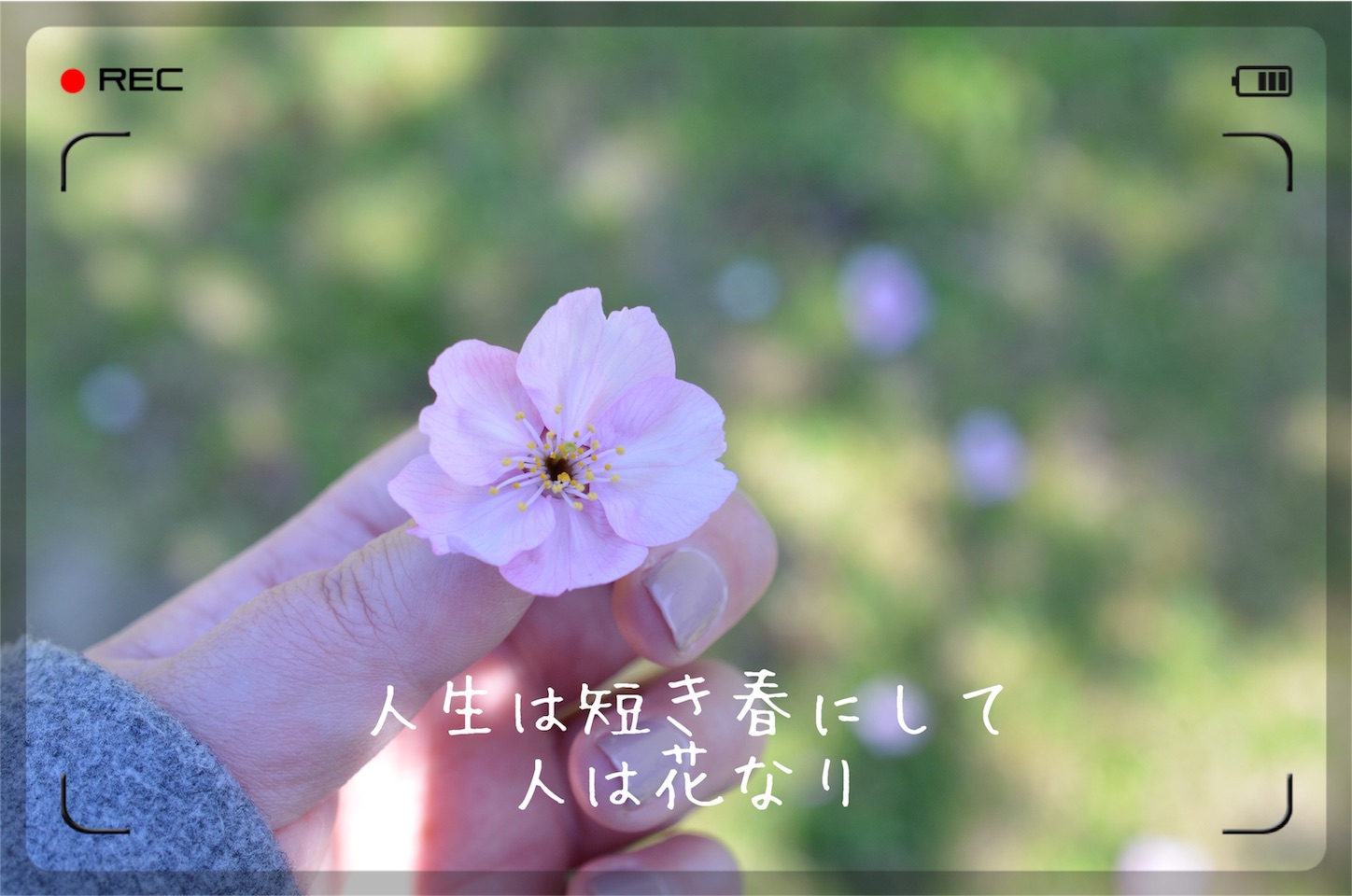 f:id:keicomoment:20160327005754j:image f:id:keicomoment:20160327005754j:image
