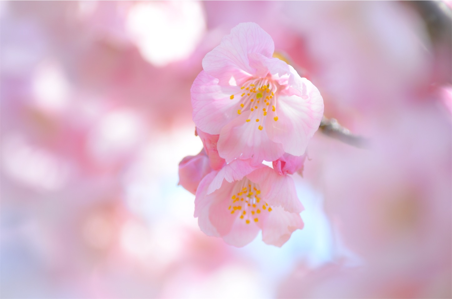 f:id:keicomoment:20160329000623j:image f:id:keicomoment:20160329000623j:image
