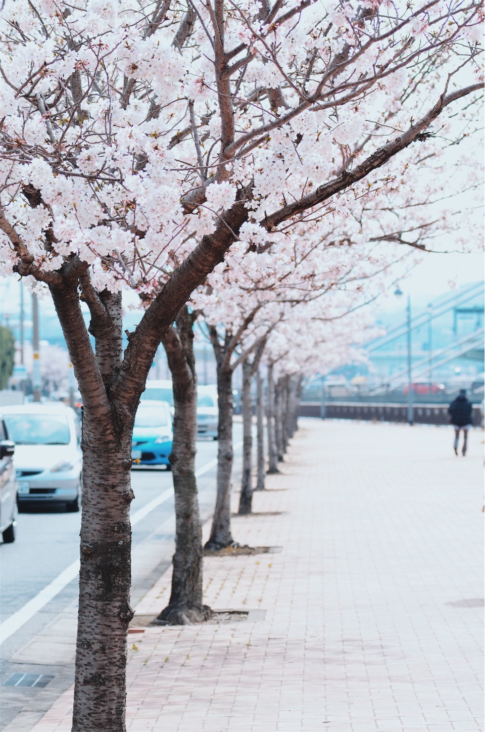 f:id:keicomoment:20160402221651j:image f:id:keicomoment:20160402221651j:image