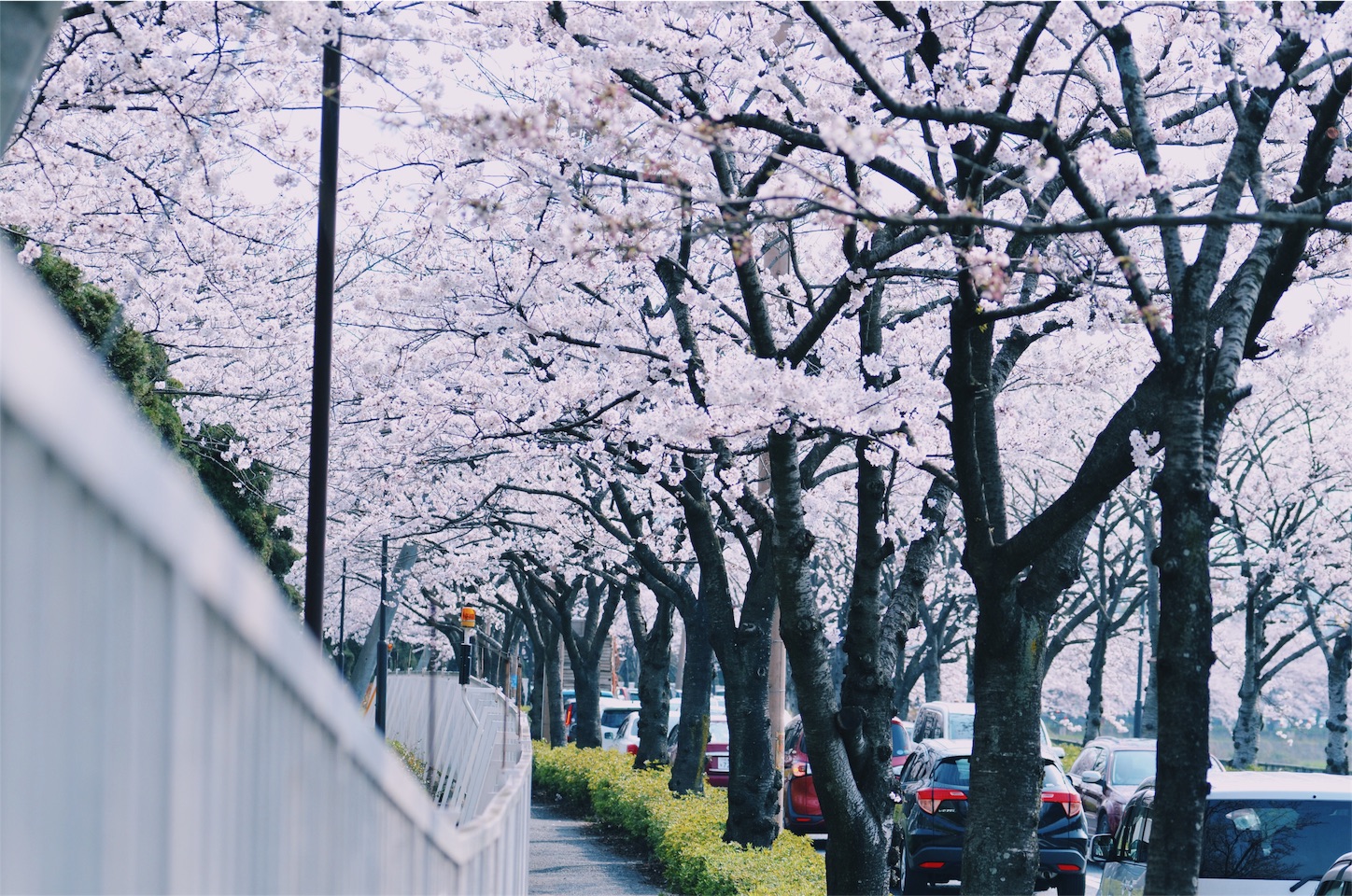 f:id:keicomoment:20160402225531j:image f:id:keicomoment:20160402225531j:image