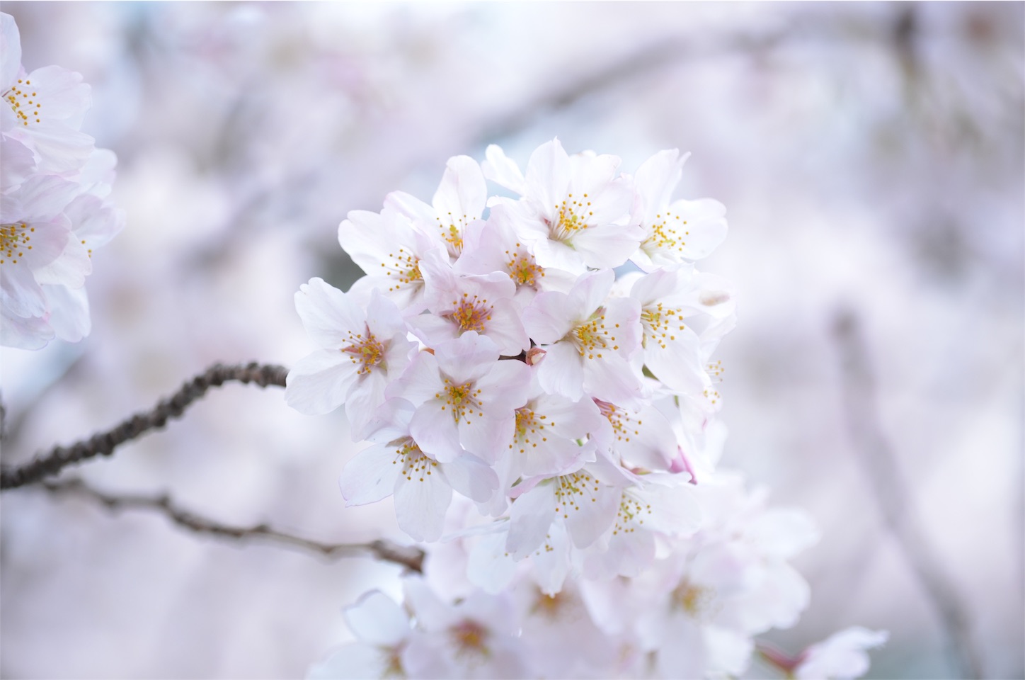f:id:keicomoment:20160410191158j:image f:id:keicomoment:20160410191158j:image