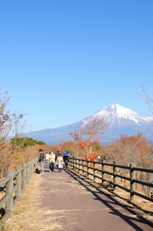f:id:keino7:20131212113046j:plain f:id:keino7:20131212113046j:plain