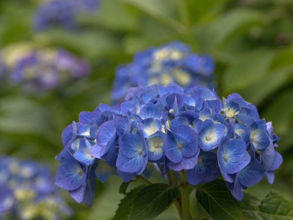 f:id:keino7:20160610110208j:plain f:id:keino7:20160610110208j:plain