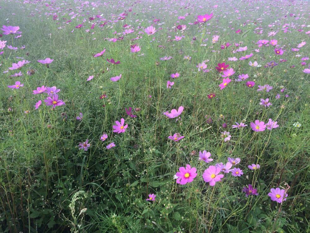 f:id:keisolutions:20151014190149j:plain