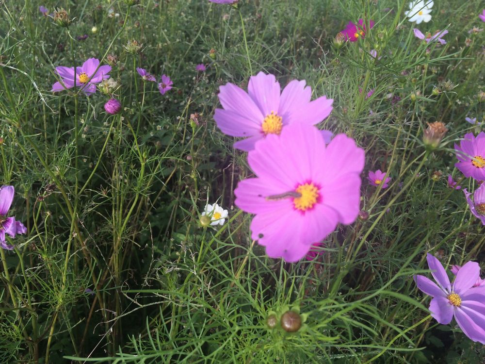 f:id:keisolutions:20151014190504j:plain