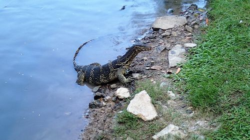 f:id:keisolutions:20151104191541j:plain f:id:keisolutions:20151104191541j:plain