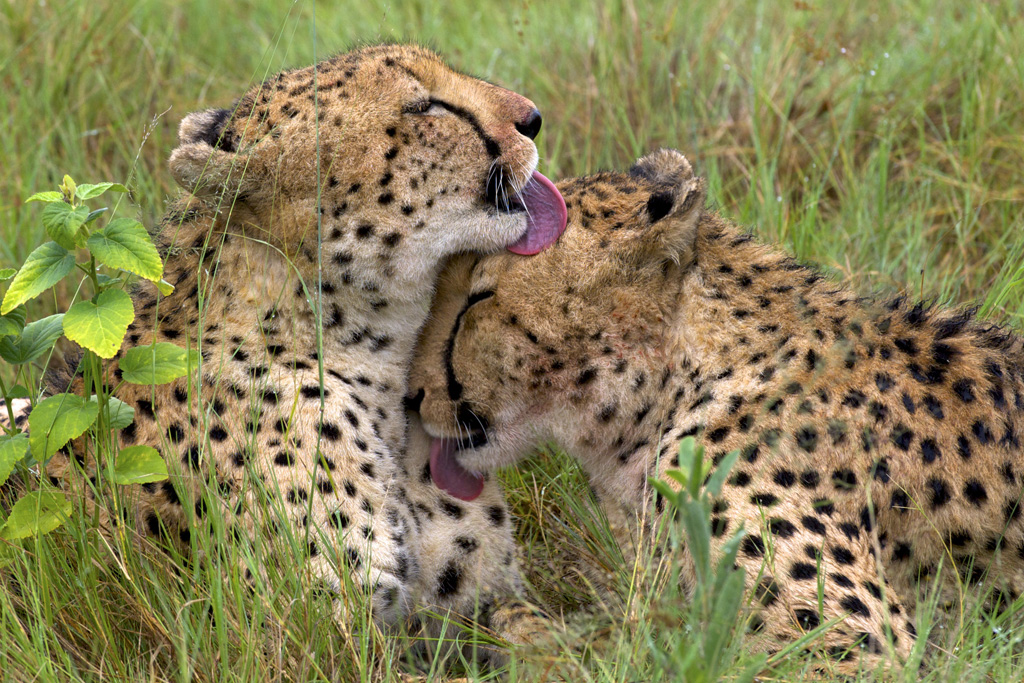 f:id:keisolutions:20160220074743j:plain