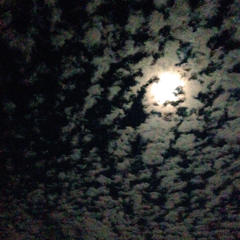 f:id:keitaf31:20150930213236j:image f:id:keitaf31:20150930213236j:image